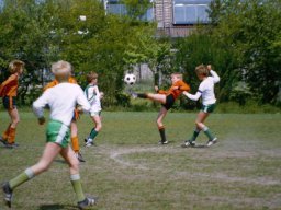 0DIA 1984 RAVA PUPS 1